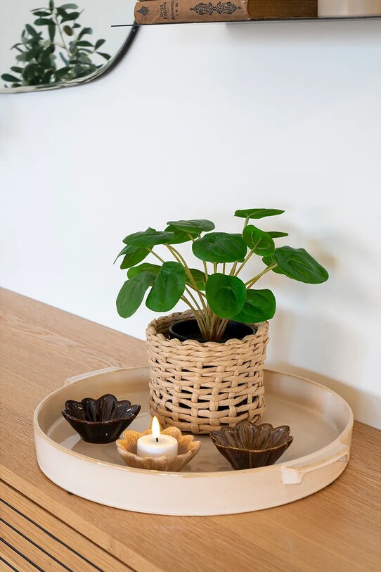 Living și dormitor House Nordic plantă artificială în ghiveci Peila 9501005 verde