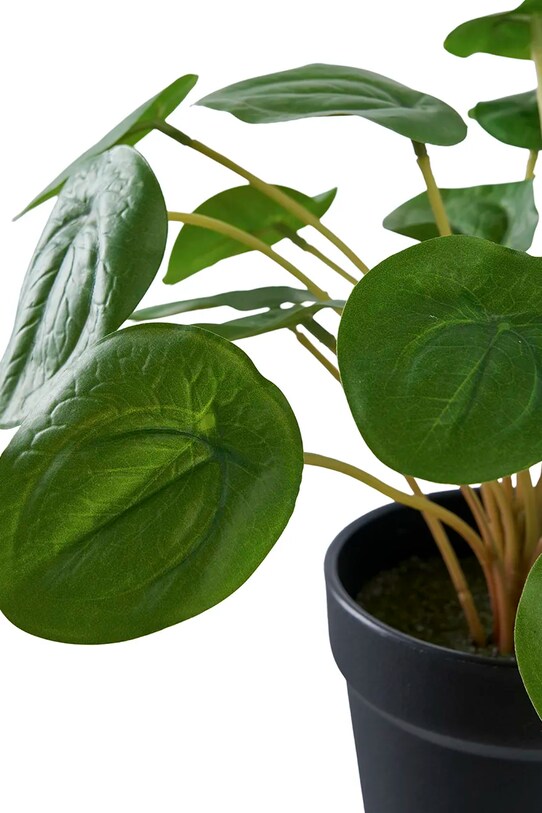 House Nordic plantă artificială în ghiveci Peila 9501005 verde AA00