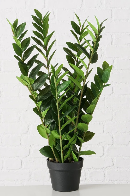 Boltze sztuczna roślina w doniczce Zamioculcas 76 cm 2043808 zielony AA00
