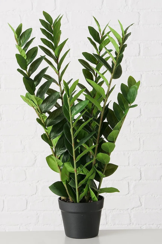 Umjetna biljka u lončanici Boltze Zamioculcas 76 cm 2043808 zelena AA00