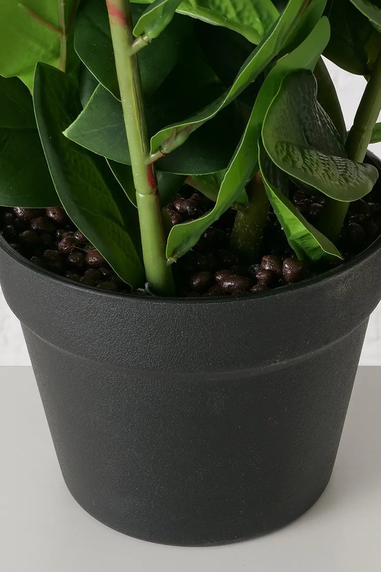 Salon i sypialnia Boltze sztuczna roślina w doniczce Zamioculcas 76 cm 2043808 zielony