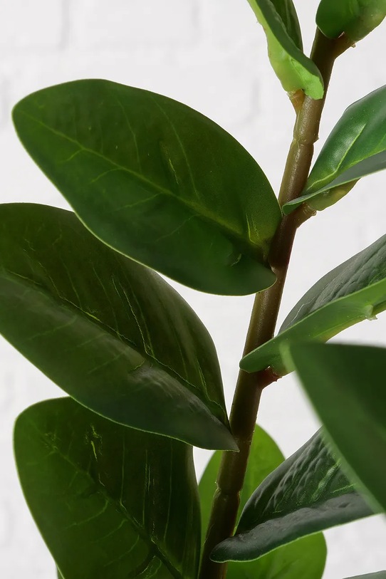 Boltze sztuczna roślina w doniczce Zamioculcas 76 cm zielony 2043808