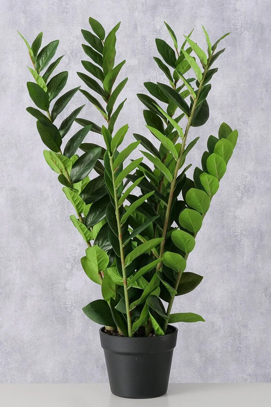 Umjetna biljka u lončanici Boltze Zamioculcas 76 cm 2043808 zelena