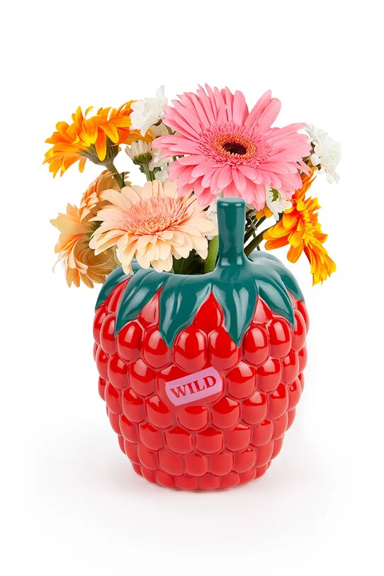 DOIY vază decorativă Farmers Raspberry DYVASFMRA rosu AA00