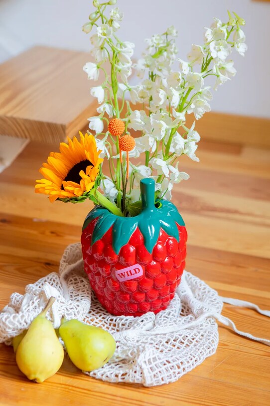 Living și dormitor DOIY vază decorativă Farmers Raspberry DYVASFMRA rosu