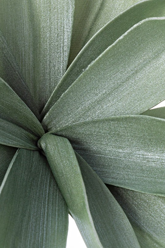 Искусственное растение Bizzotto Green Ferox 172571 зелёный AA00