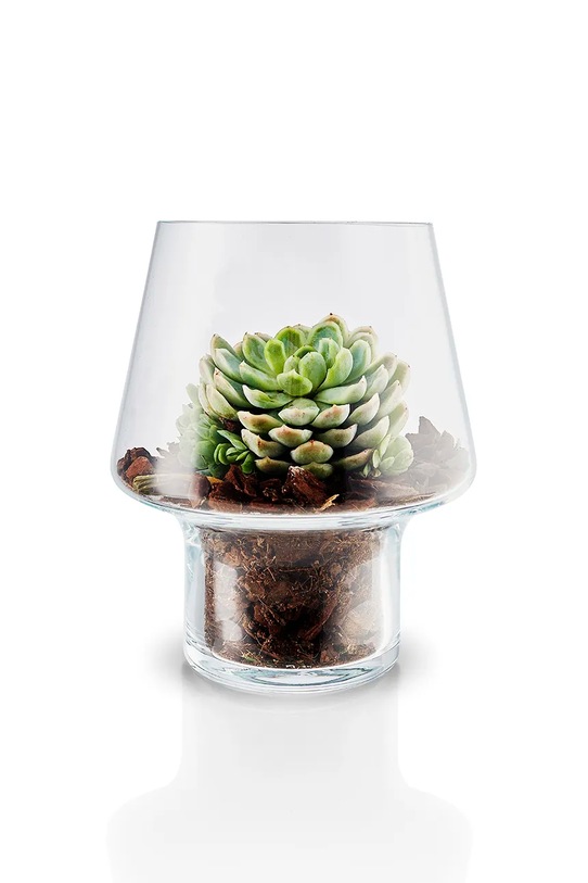 Διακοσμητικό βάζο Eva Solo Succulent 15 cm 568187 διαφανή AA00