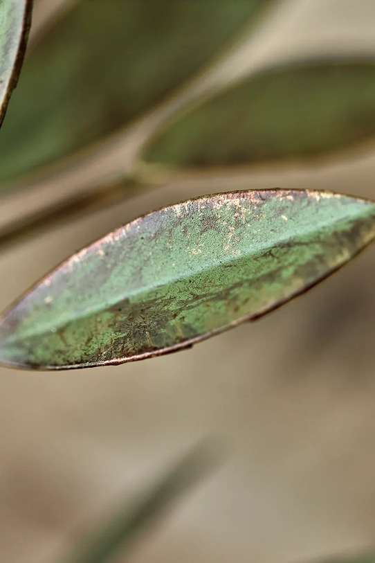 House Doctor dekoratív gyertyatartó HDLeaves 20 cm zöld 205340405
