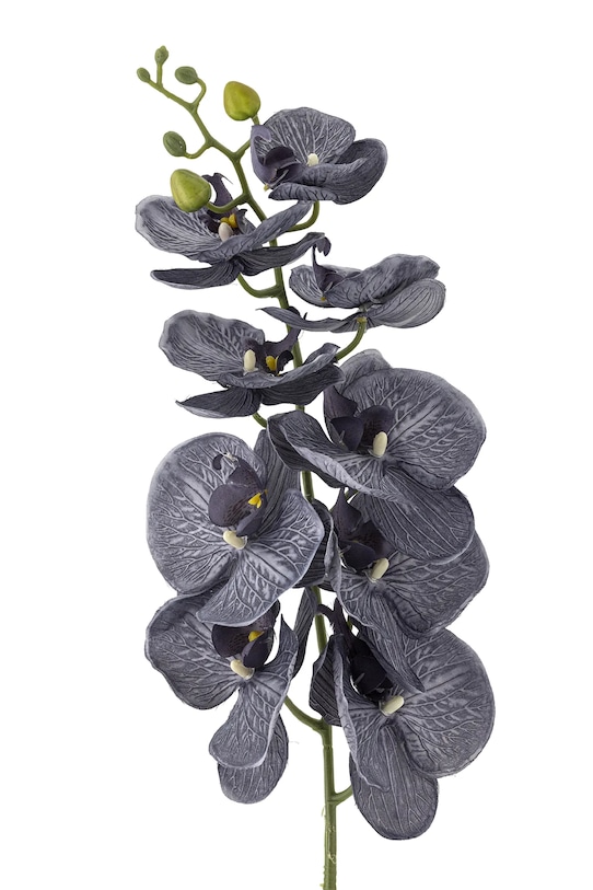 Umelé kvety Bloomingville Orchid Stem 105 cm 82061538 fialová AA00