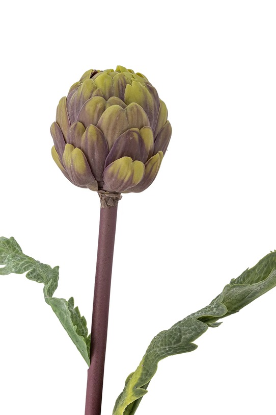 Bloomingville sztuczne kwiaty Protea Stem 54 cm 82061523 multicolor AA00