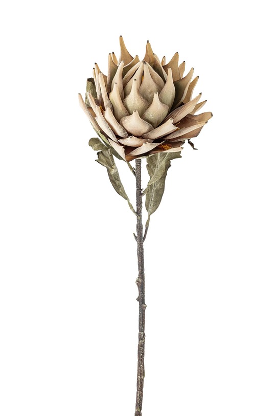 Bloomingville sztuczne kwiaty Protea Stem 76 cm multicolor 82061468