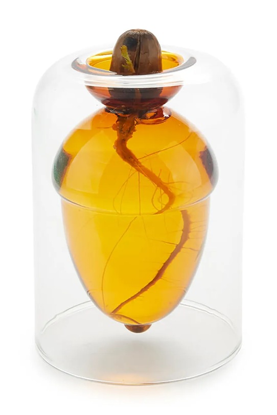 Ваза за отглеждане на семена Balvi Acorn Vase 12 x 8,4 x 8,4 cm 28111 прозрачен AA00