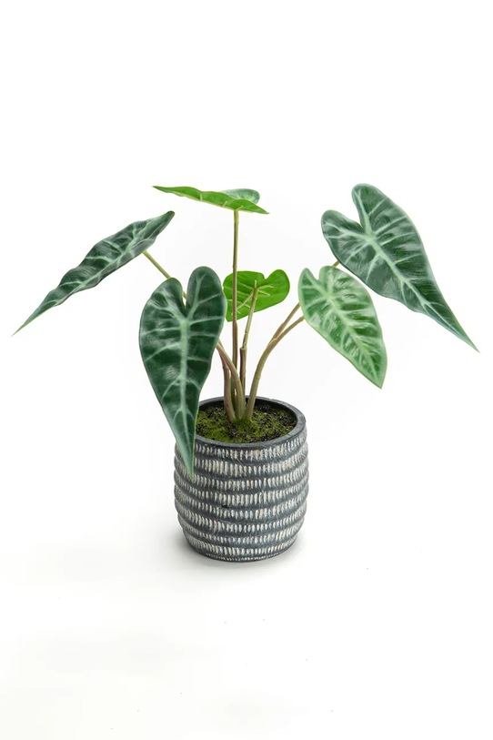 home & lifestyle sztuczna roślina w doniczce 30 x 27 cm zielony 155816