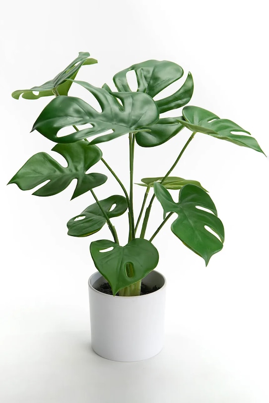 home & lifestyle sztuczna roślina w doniczce 10 x 39 cm zielony 155812