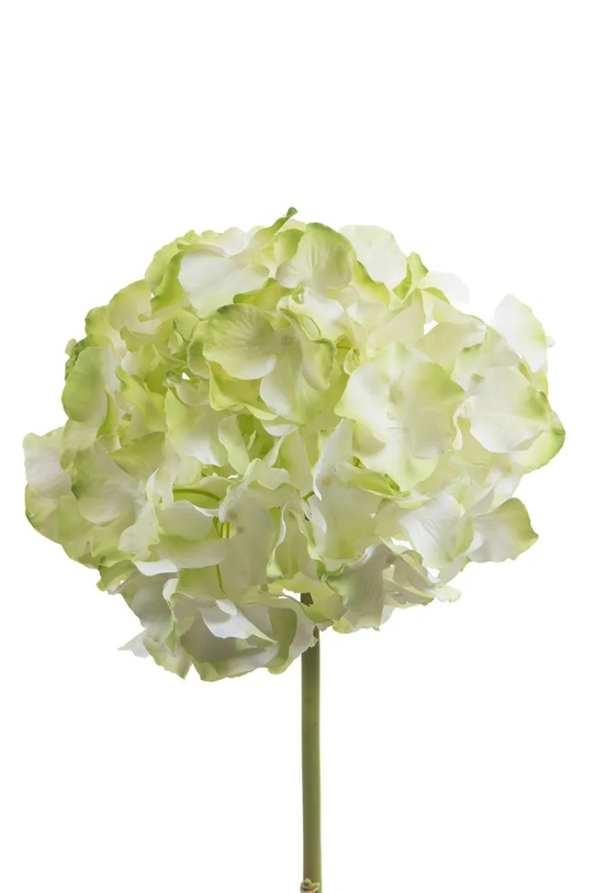home & lifestyle sztuczny kwiat 48 cm zielony 164205