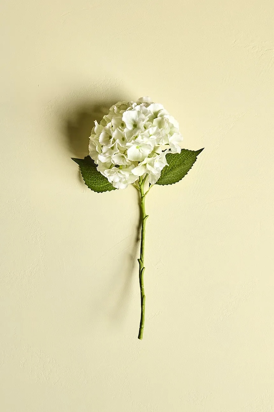 Σαλόνι και υπνοδωμάτιο Τεχνητό λουλούδι House Doctor HDHydrangea 22 x 50 cm 900001455 πολύχρωμο