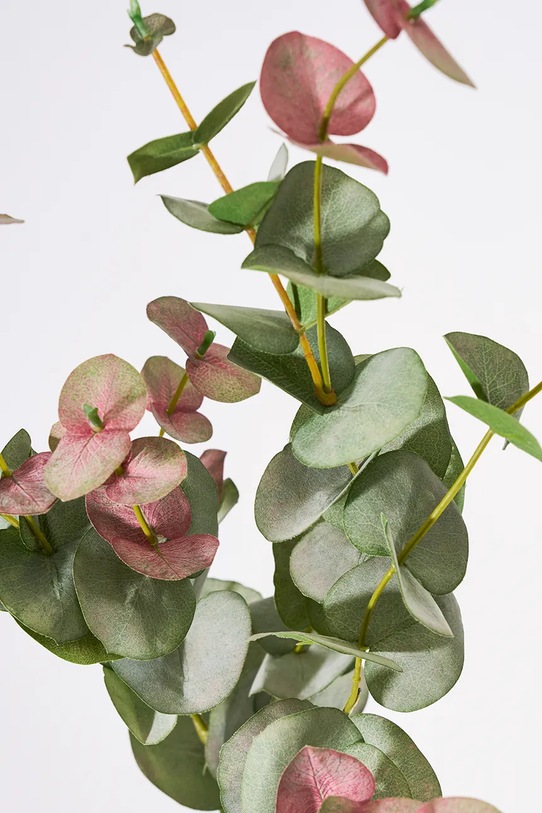 House Doctor artificiali rami HDEucalyptus 25 x 90 cm 900001463 multicolore AA00