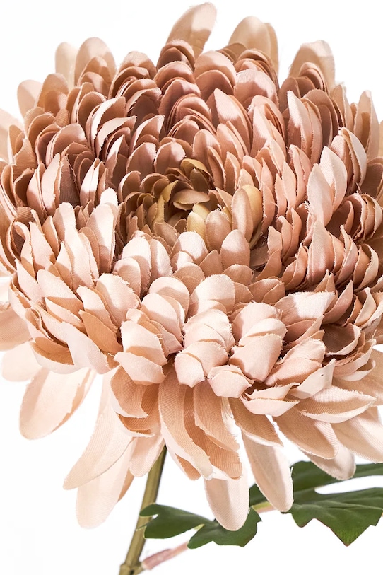 Umelý kvet House Doctor HDChrysanthemum 14 x 60 cm 900001481 viacfarebná AA00