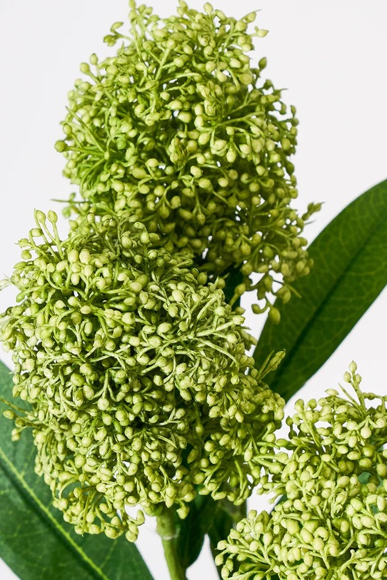 House Doctor искусственное растение декоративное из пластика 15 x 55 cm 900001453 мультиколор AA00