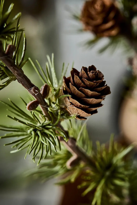 Lifestyle House Doctor choinka dekoracyjna HDStay 40 x 20 cm 267740001 multicolor