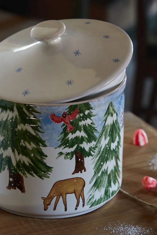 Costa Nova pojemnik z pokrywką 21 cm DX211.WHI multicolor AA00