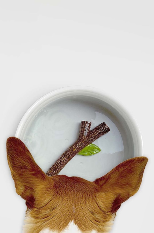 Luckies of London miska na wodę dla psa Fetch Stick multicolor SK.BOWLSTICK1