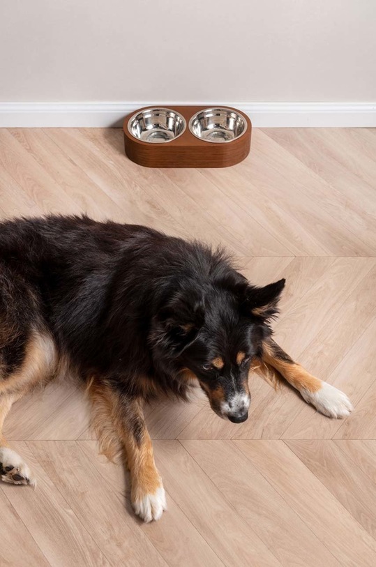 Present Time podwójna miska dla pupila brązowy PT3739DW