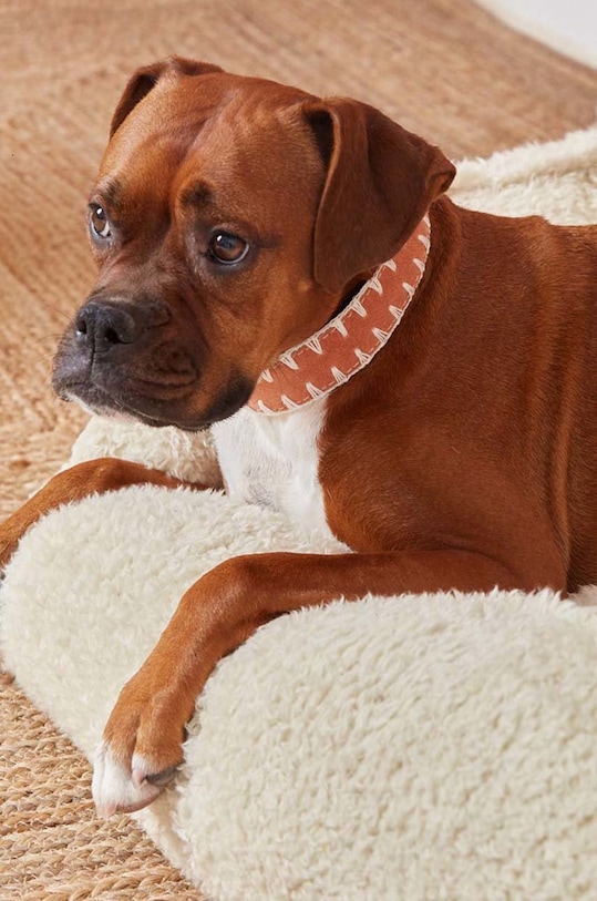 Лайфстайл Ошейник для питомца Calma House Hamza M/L 47-54 cm HAMZA.DOG47.COR оранжевый