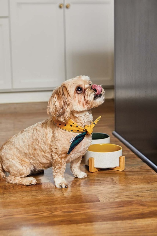 Лайфстайл Миска для собаки з підставкою Field + Wander Ceramic Dog Bowl FAW022UK зелений