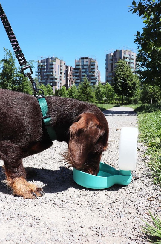 Boca za vodu za pse United Pets Pingui GV0901AQ