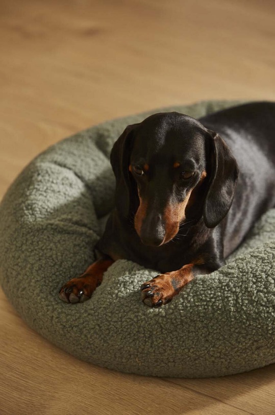 Lifestyle Calma House legowisko dla pupila Henry HENRY.DOG55.VER zielony