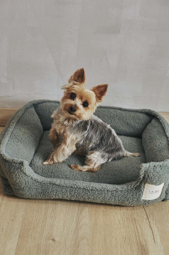 Calma House legowisko dla pupila Henry zielony HENRY.DOGS.VER
