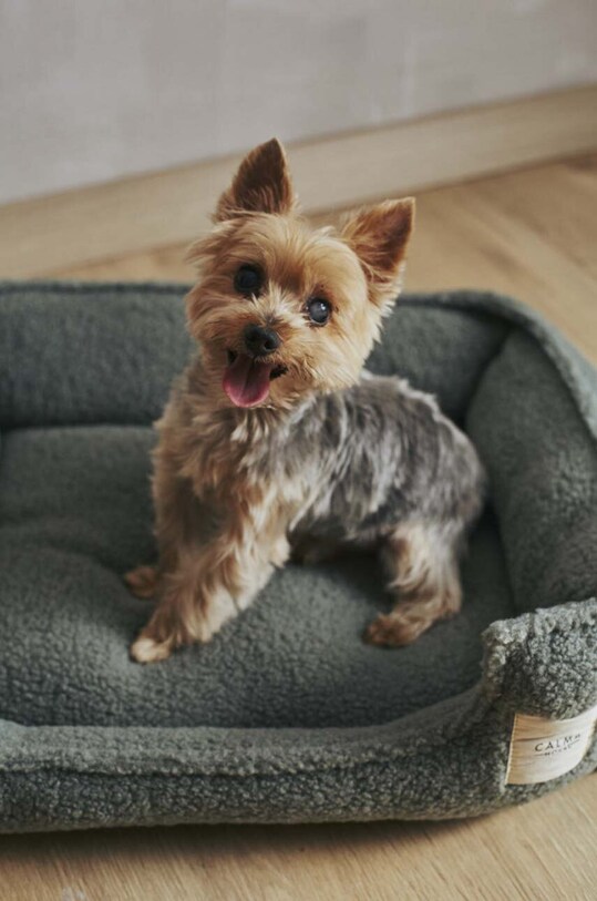 Calma House legowisko dla pupila Henry HENRY.DOGS.VER zielony AA00