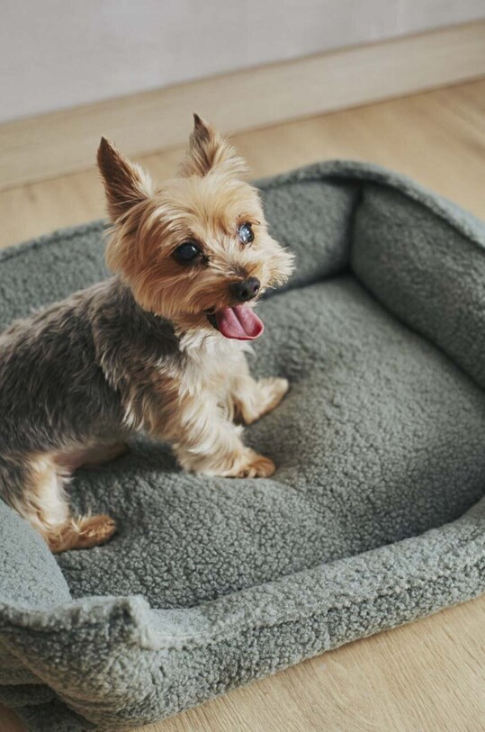 Lifestyle Calma House legowisko dla pupila Henry HENRY.DOGS.VER zielony