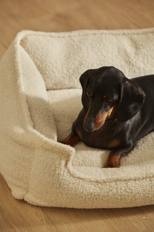 Calma House cuccia per animali Henry Dog M HENRY.DOGM.CRU beige AA00