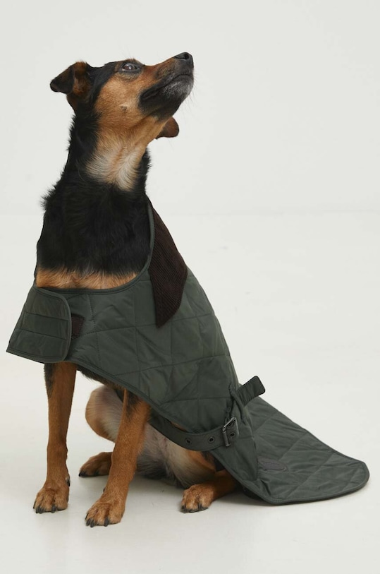 Barbour płaszcz dla psa DCO0004GN91 multicolor AA00