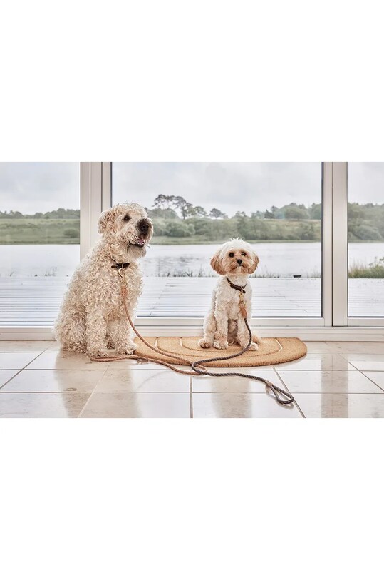 Лайфстайл Поводок для собаки OYOY Perry Dog Leash Z60077 коричневий