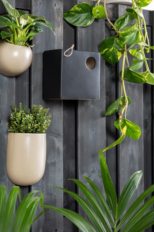 Present Time Colivie negru PT3879BK