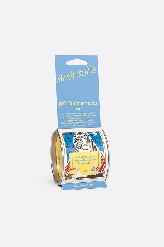 Another Me zestaw karteczek 100 Curious Facts, Art, English multicolor AM100FBOARE