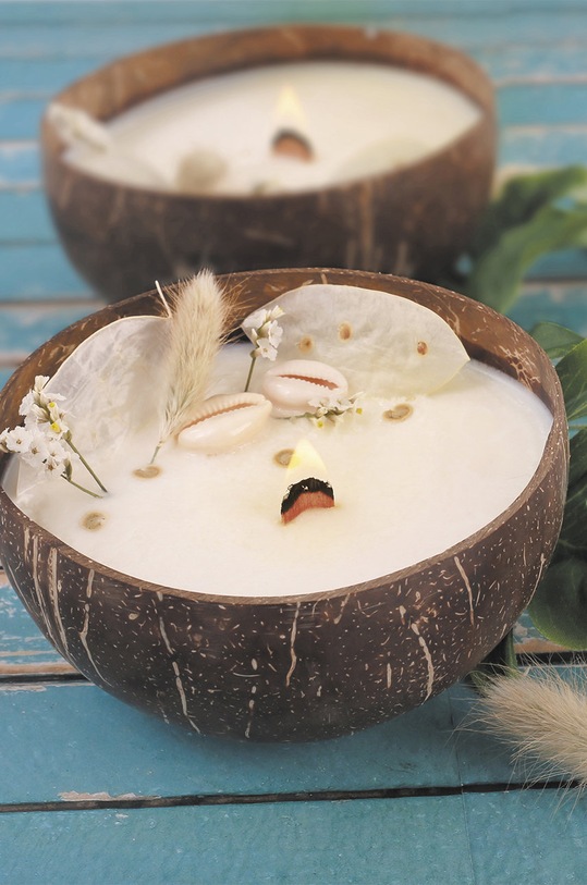 Home SPA Graine Creative Kit de lumânări parfumate DIY Coconut Candle 152019 multicolor
