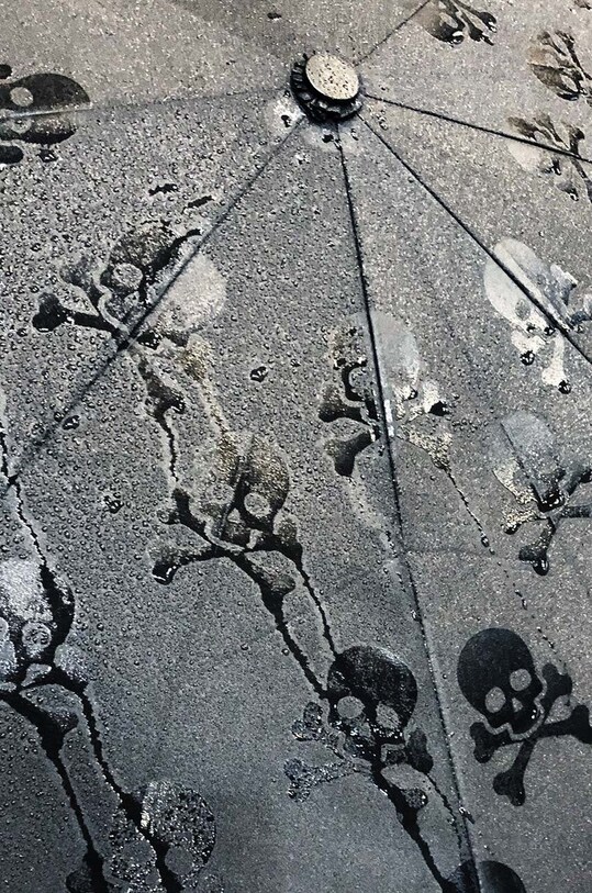 Аксесуари Парасоля Luckies of London Hidden Skulls SK.UMBRELLASKL1 барвистий