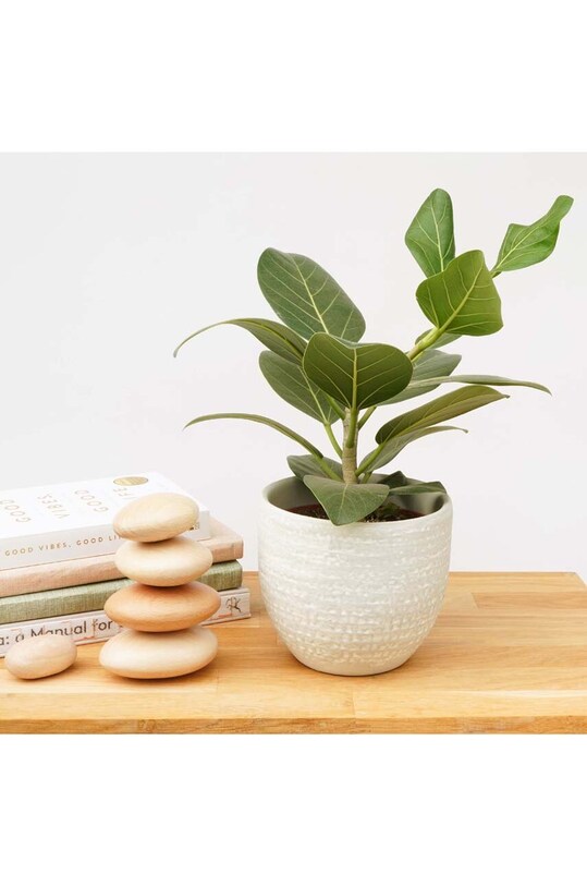 Dekorace Luckies of London Balance vícebarevná LK.CCB