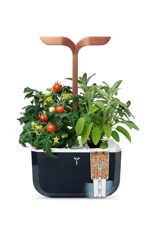 Автономний домашній сад Veritable Exky Smart VEXK.SSBCO.EU2.164 барвистий AA00