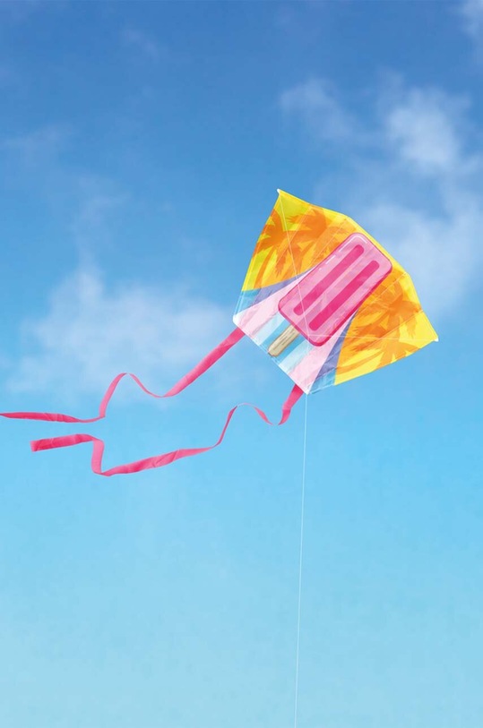 Lifestyle Donkey latawiec Poppy di Pop 340005 multicolor