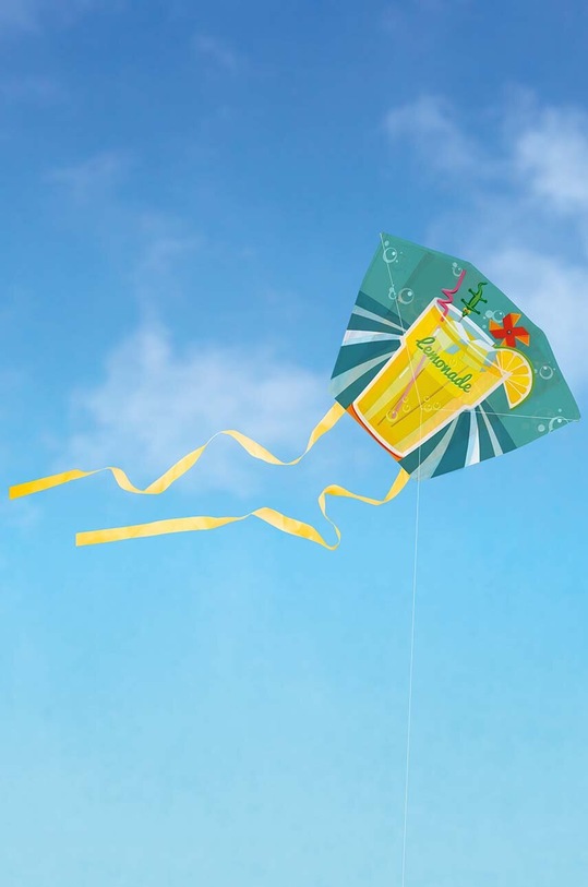 Lifestyle Papírový drak Donkey Mini Kite LemonAir 340007 vícebarevná