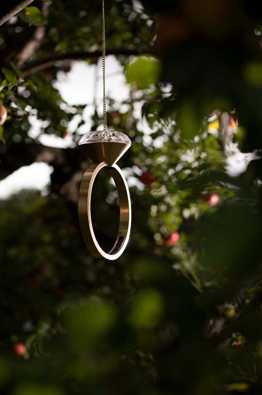 Garden Glory hrănitoare pentru păsări Diamond 116.GG galben