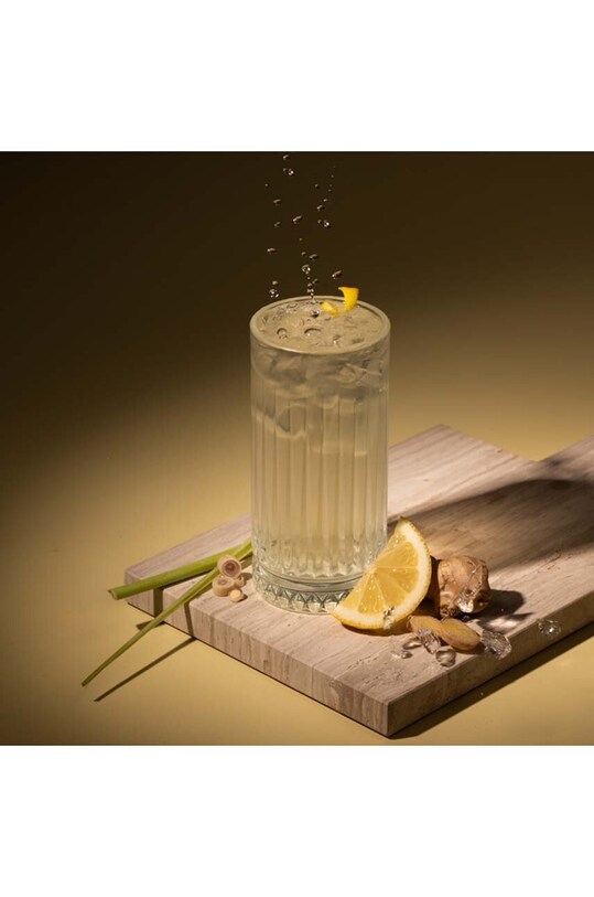 Sada na ochucení alkoholu Snippers Botanicals Lemon Gin, 350 ml průhledná SNBT03LG00