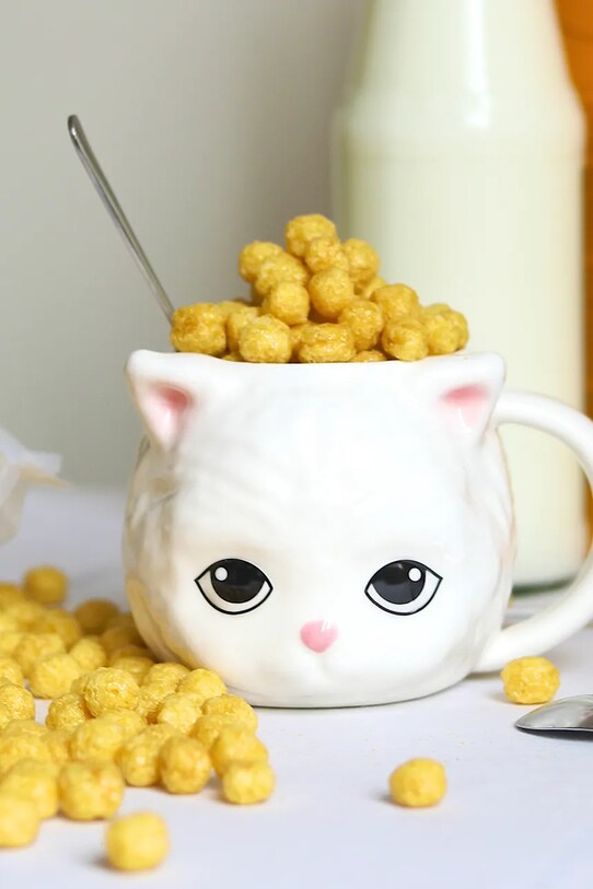 Κουζίνα και μπαρ Κούπα Fluid Market Cat AAMUGCAT πολύχρωμο