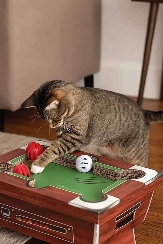 Luckies of London zabawka dla kota SK.CATPOOL1 multicolor