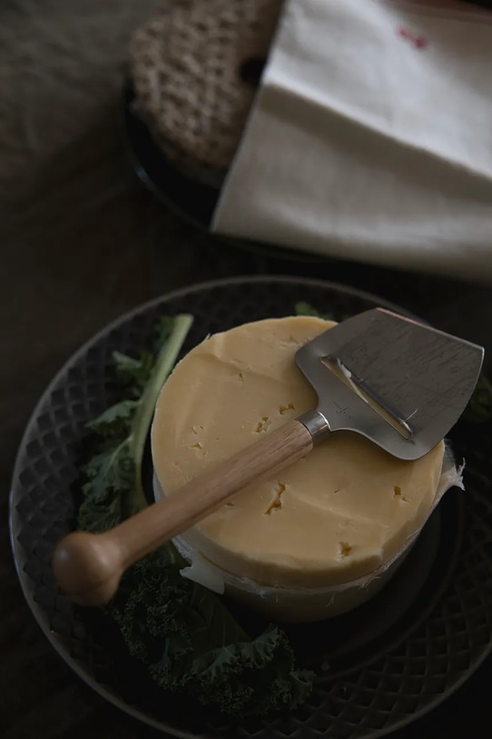 Kuhinja i bar Nož za sir Sagaform Nature 5017204 šarena